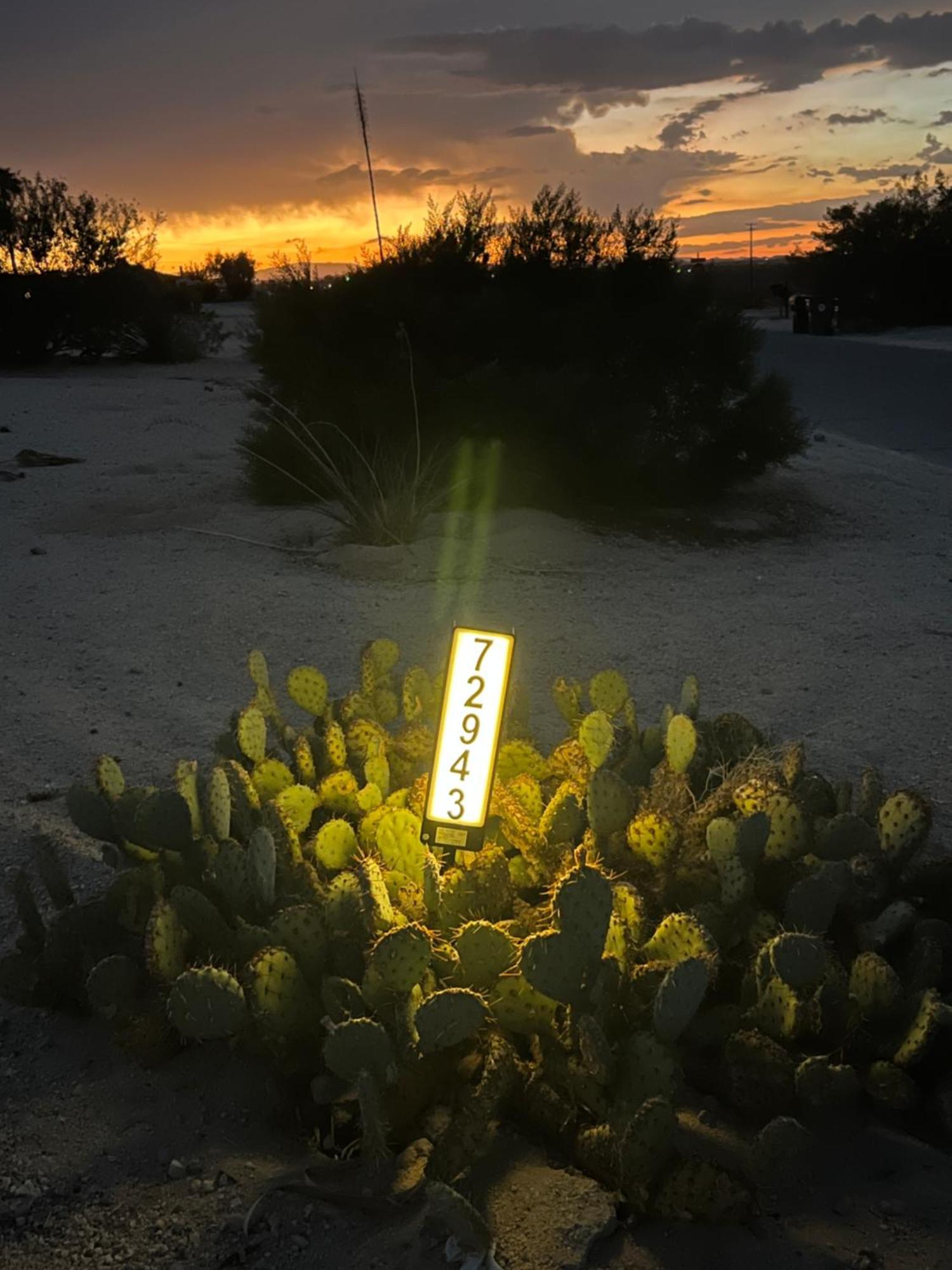 Albergue Bodhi House, Joshua Tree National Park Twentynine Palms Exterior foto